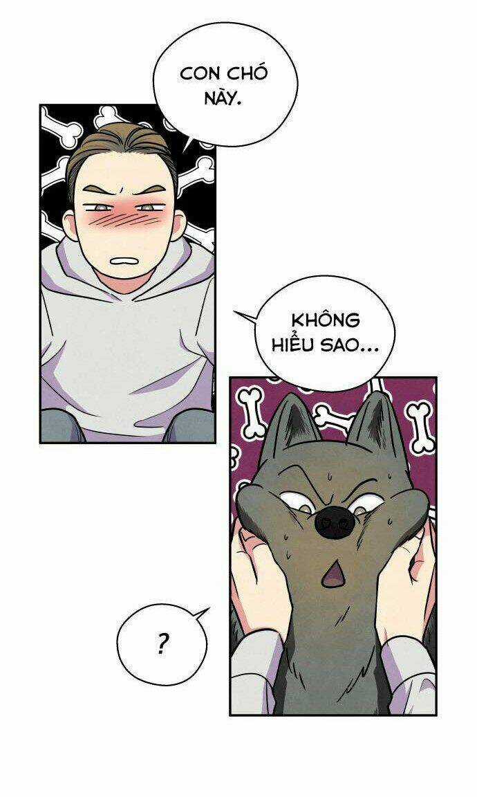 Tai Sói Và Mũ Đỏ Chapter 38 trang 21