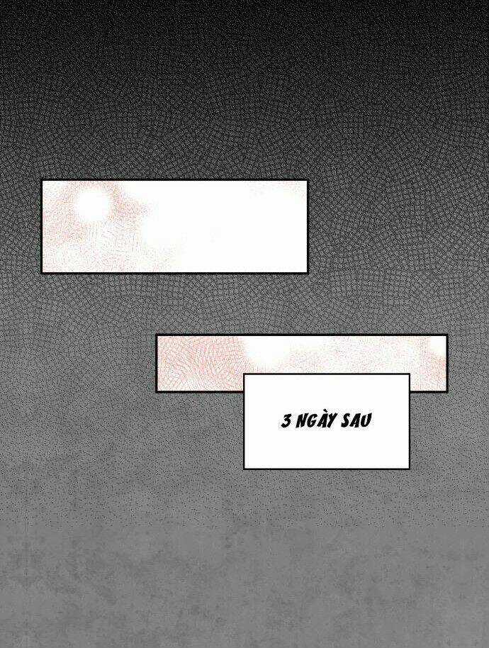 Tai Sói Và Mũ Đỏ Chapter 41 trang 23