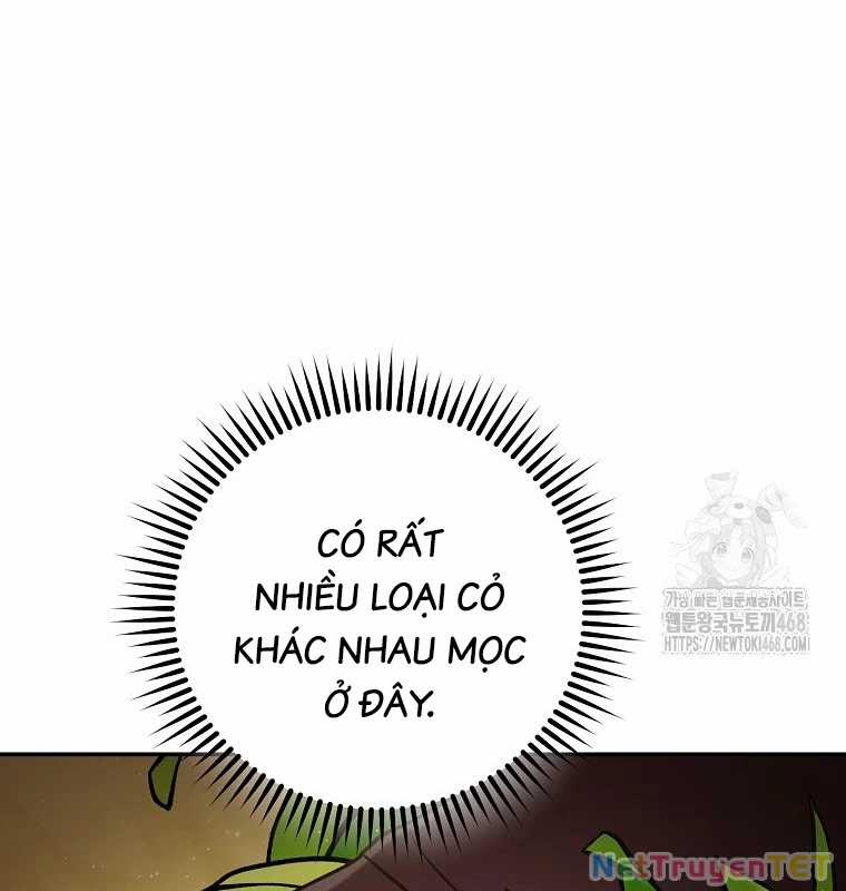 Tái Thiết Hầm Ngục Chapter 235 trang 82