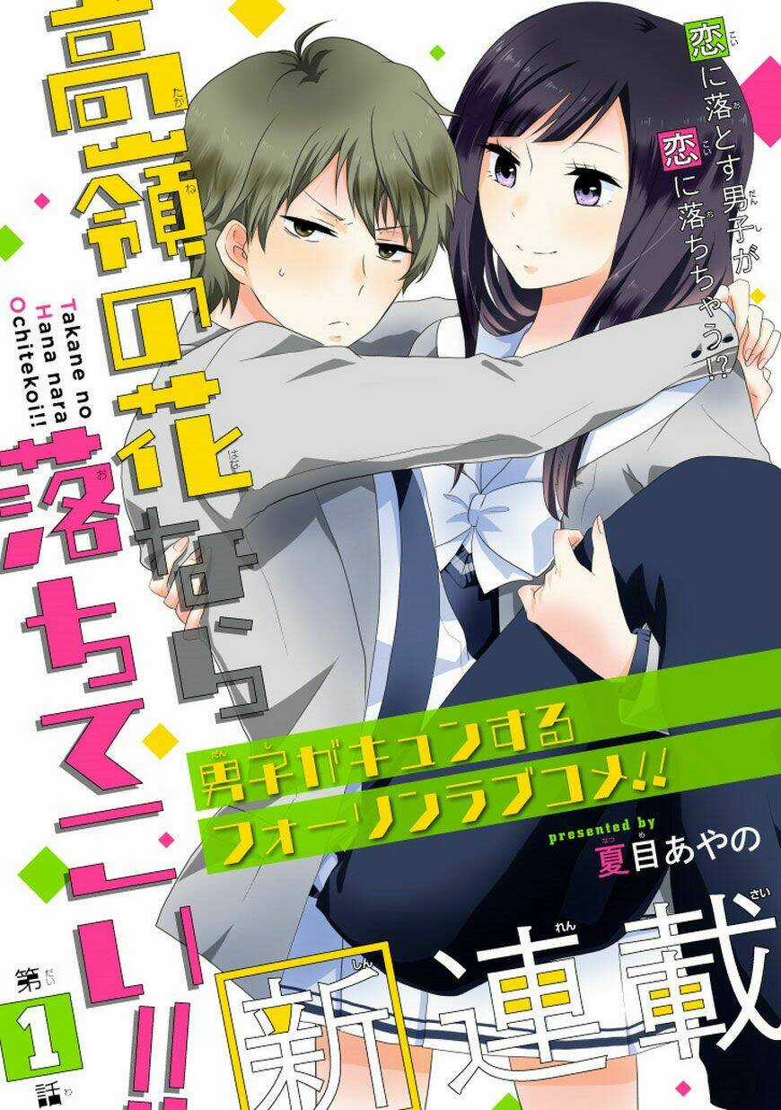 Takane No Hana Nara Ochitekoi!! Chapter 1 trang 3