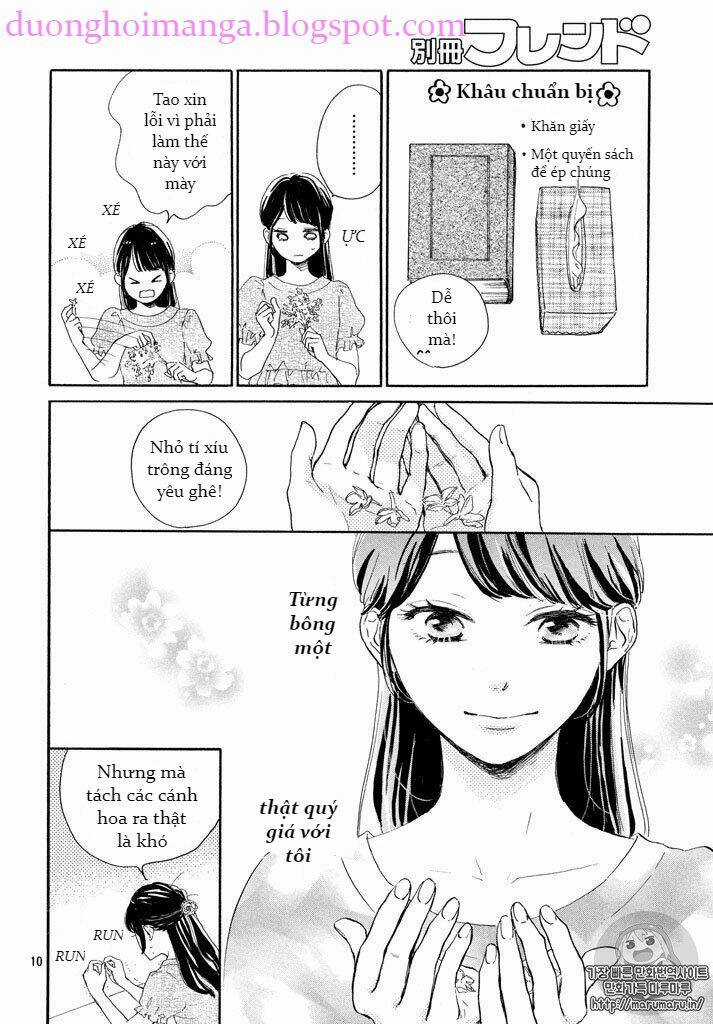 takane no ran-san Chapter 2 trang 11