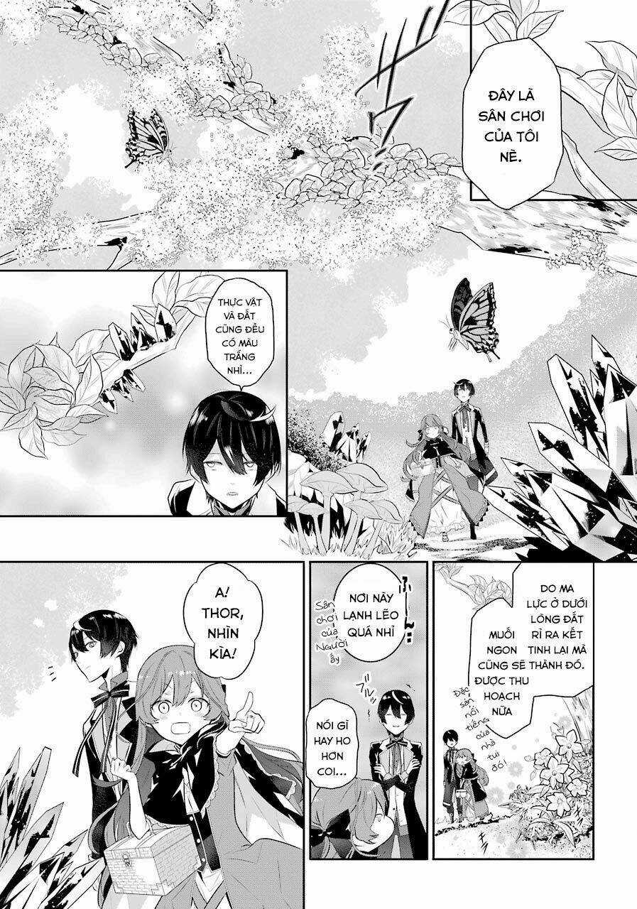 Tales Of Reincarnation In Maydare Chapter 2 trang 11