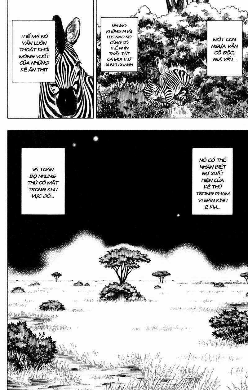 Tấm Thẻ Bí Ẩn Chapter 41 trang 1