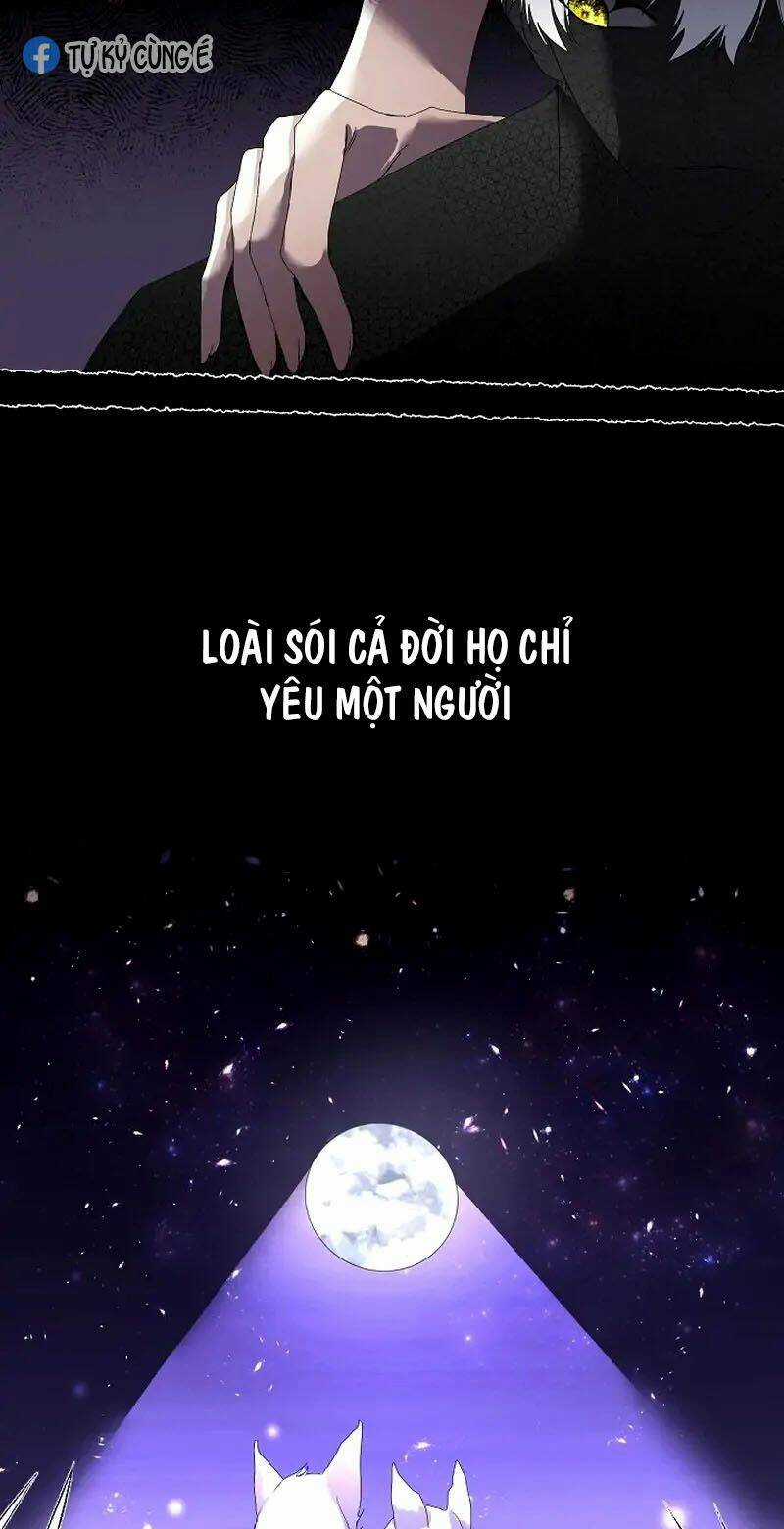 Tạm Thời Tôi Sẽ Bảo Vệ Nam Chính Chapter 0 trang 16