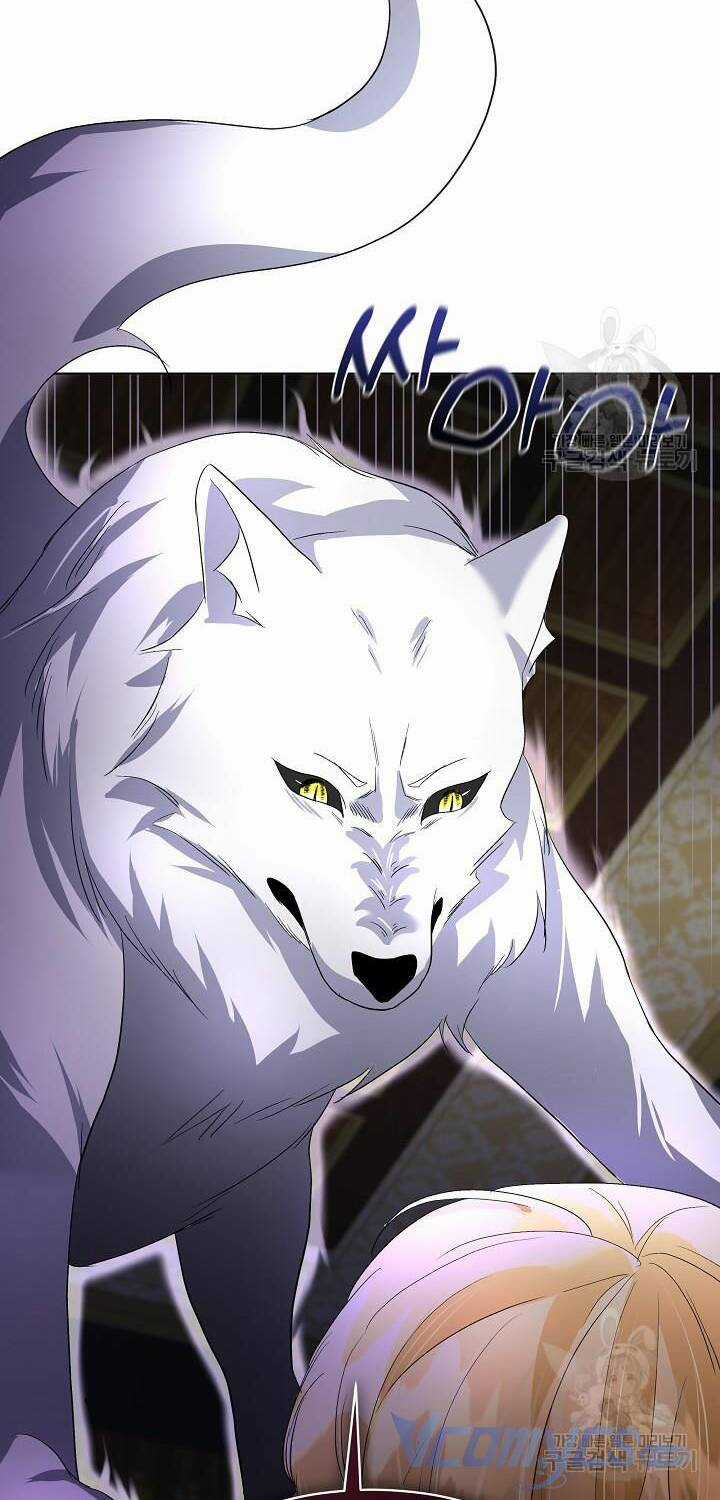 Tạm Thời Tôi Sẽ Bảo Vệ Nam Chính Chapter 41 trang 17