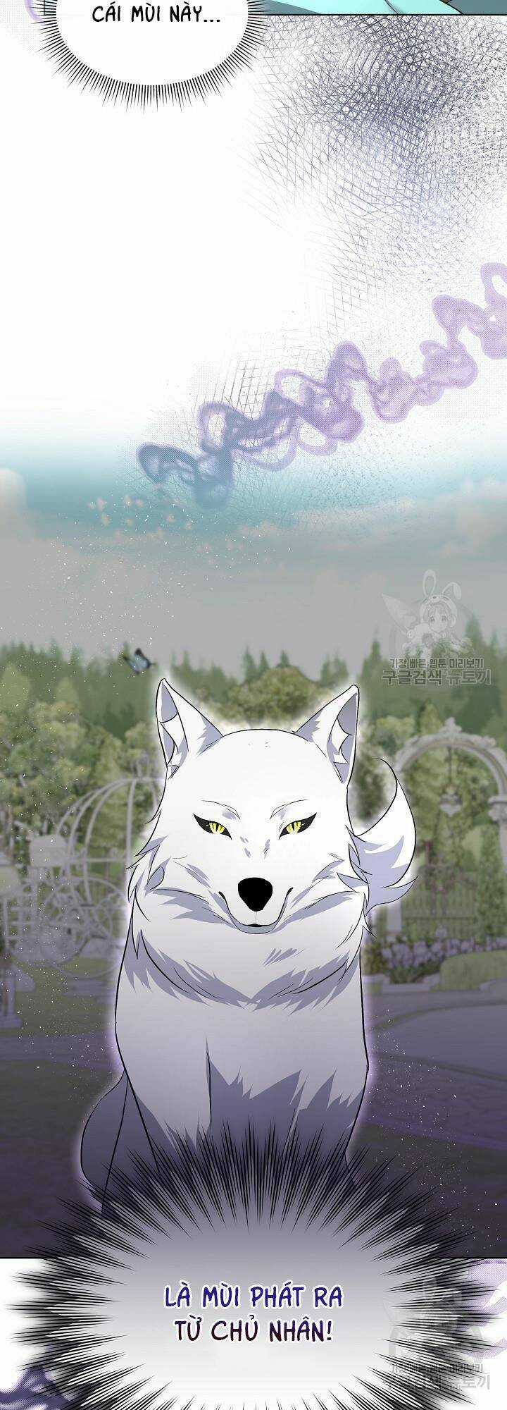 Tạm Thời Tôi Sẽ Bảo Vệ Nam Chính Chapter 45 trang 10