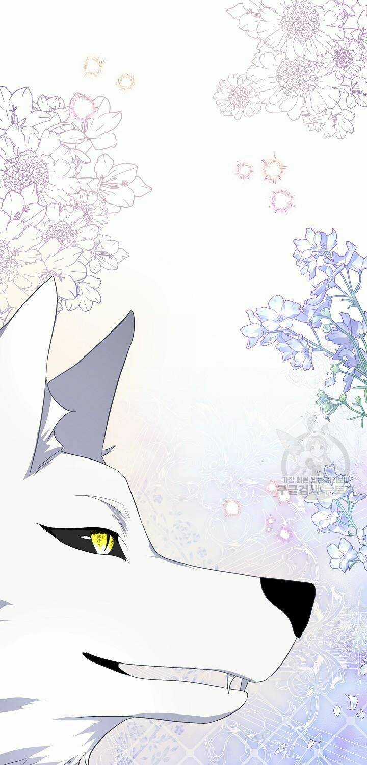 Tạm Thời Tôi Sẽ Bảo Vệ Nam Chính Chapter 45 trang 16