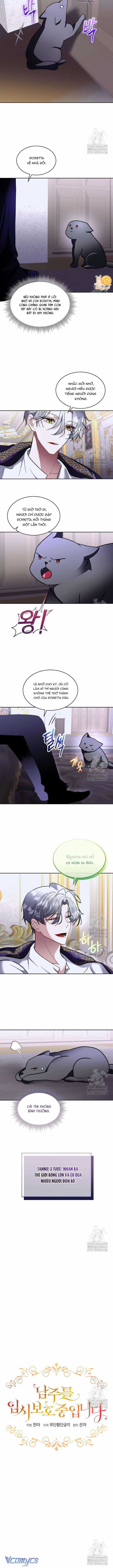 Tạm Thời Tôi Sẽ Bảo Vệ Nam Chính Chapter 75 trang 3