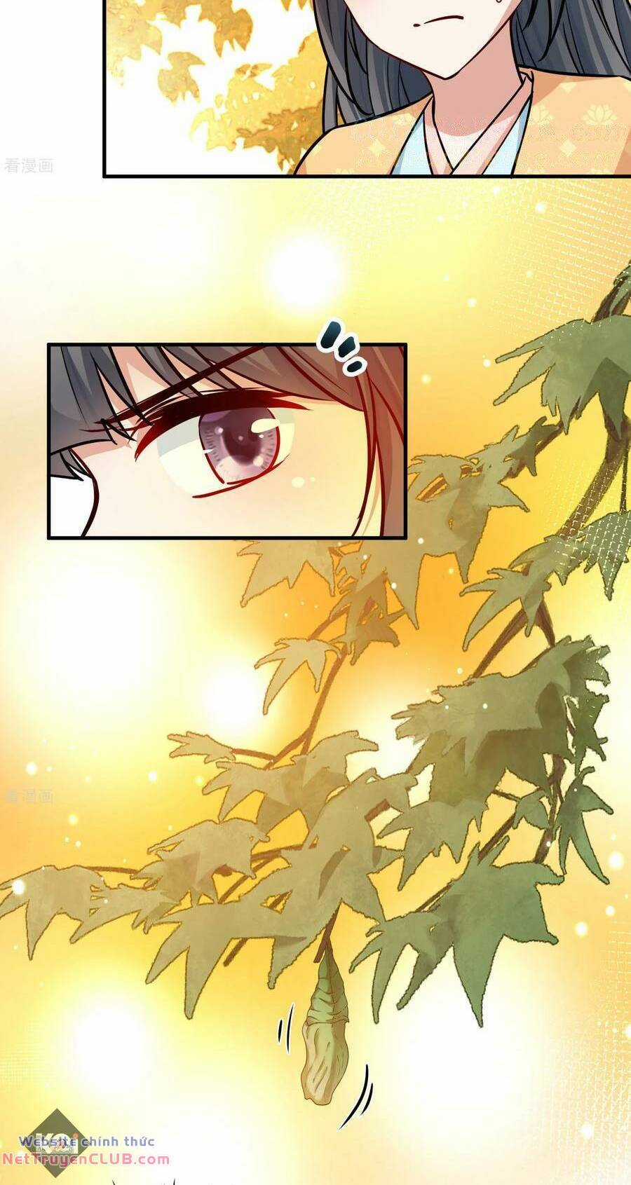 Tầm Trảo Tiền Thế Chi Lữ 2 Chapter 221 trang 12