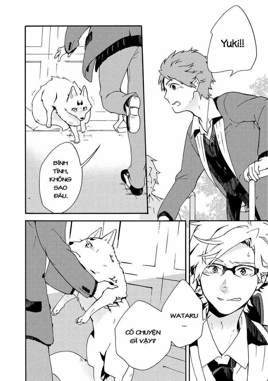 Tamayura Kitsune Chapter 7 trang 12