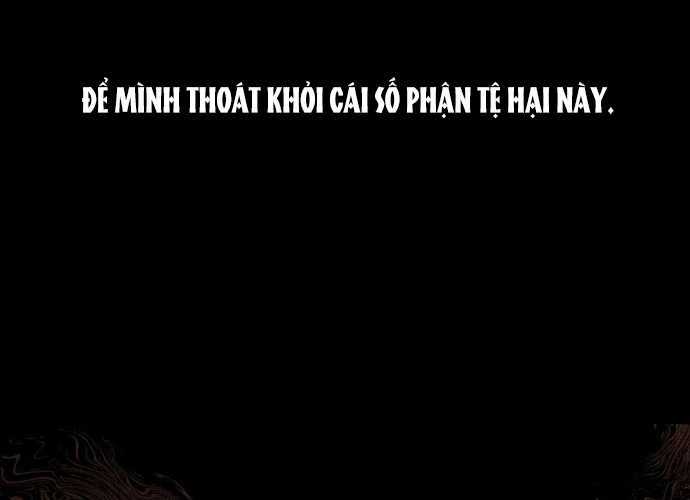 Tân Binh Triệu Đô Chapter 1 trang 231