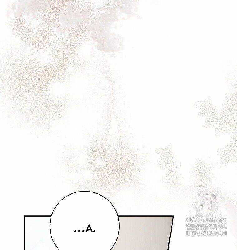 Tân Binh Triệu Đô Chapter 38 trang 17