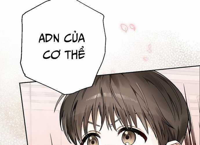 Tân Binh Triệu Đô Chapter 6 trang 144