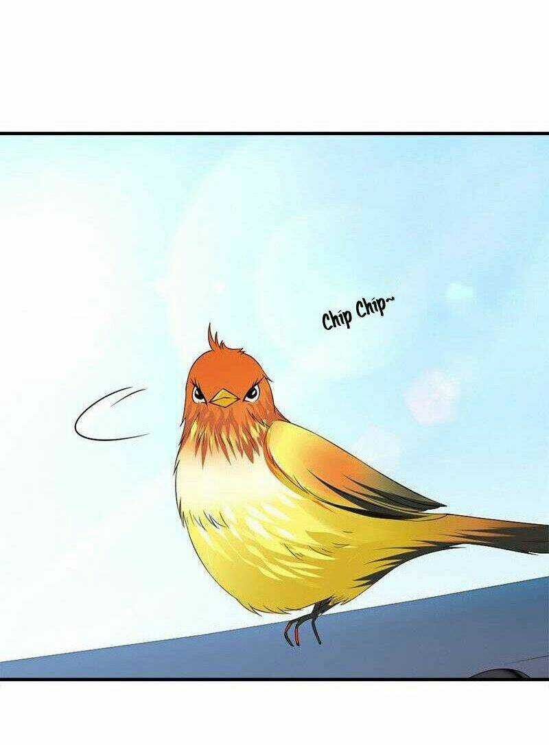 Tận Diệt Vương Gia Mãn Triều Chapter 107 trang 22