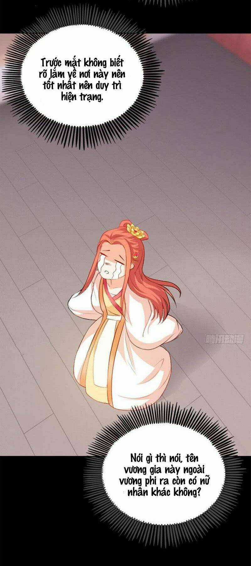 Tận Diệt Vương Gia Mãn Triều Chapter 108 trang 18