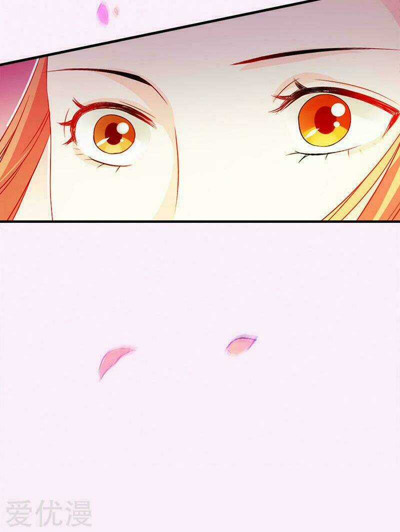 Tận Diệt Vương Gia Mãn Triều Chapter 111 trang 4