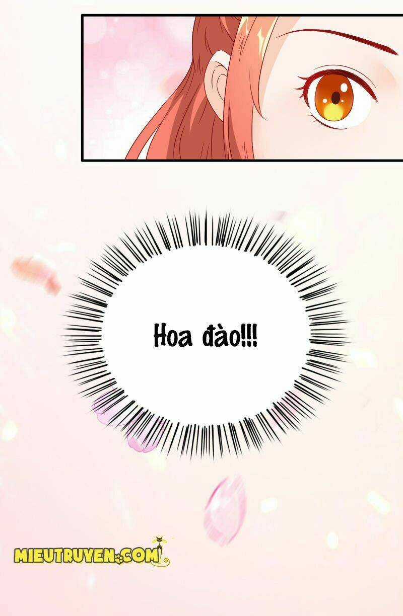 Tận Diệt Vương Gia Mãn Triều Chapter 115 trang 23