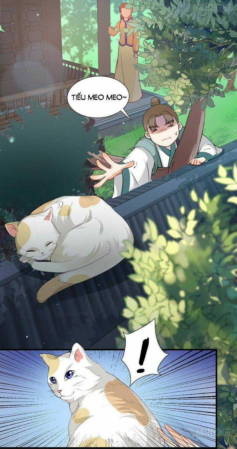 Tận Diệt Vương Gia Mãn Triều Chapter 139 trang 6