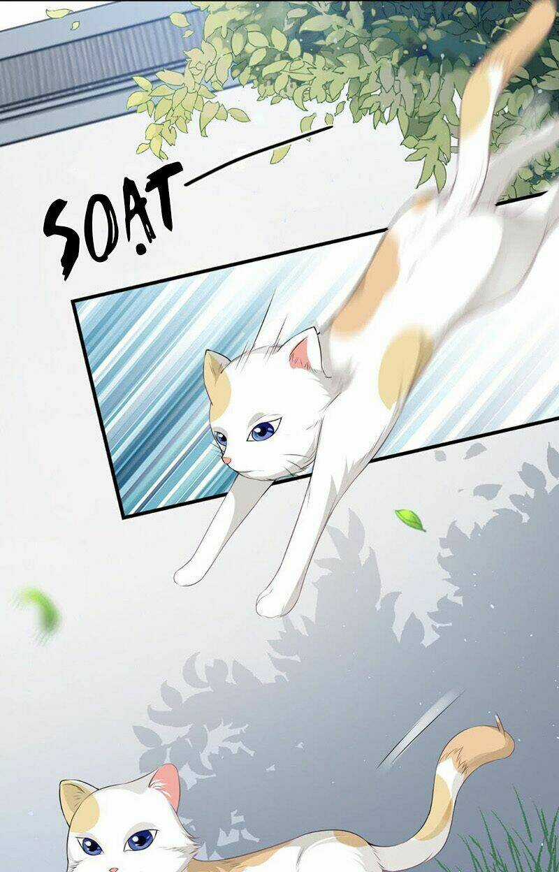 Tận Diệt Vương Gia Mãn Triều Chapter 139 trang 7