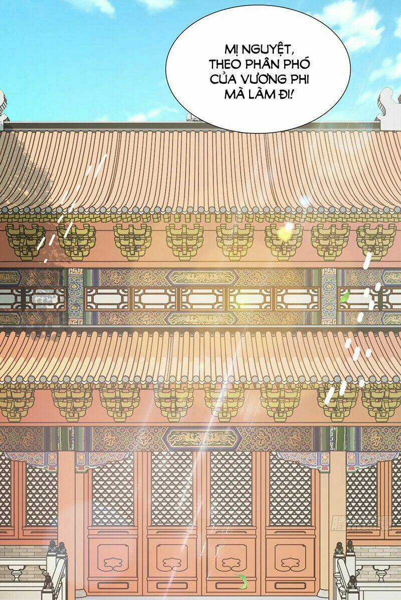 Tận Diệt Vương Gia Mãn Triều Chapter 145 trang 15