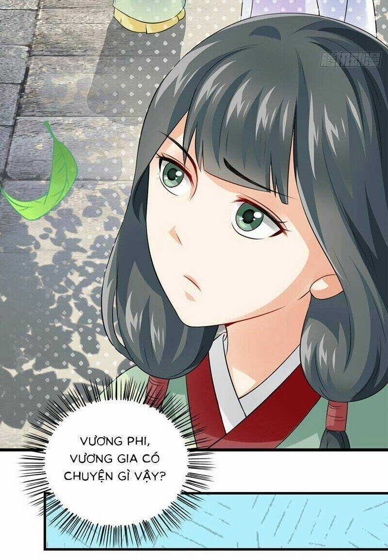 Tận Diệt Vương Gia Mãn Triều Chapter 145 trang 17