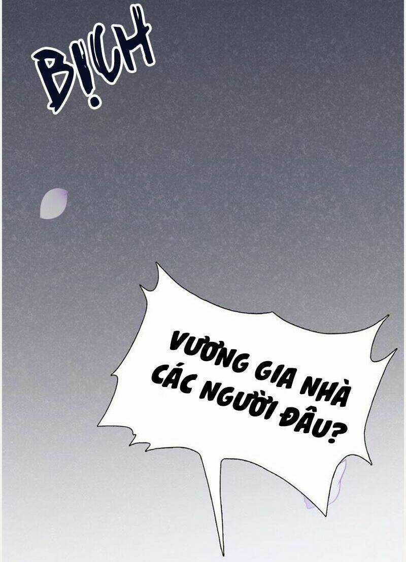 Tận Diệt Vương Gia Mãn Triều Chapter 155 trang 34