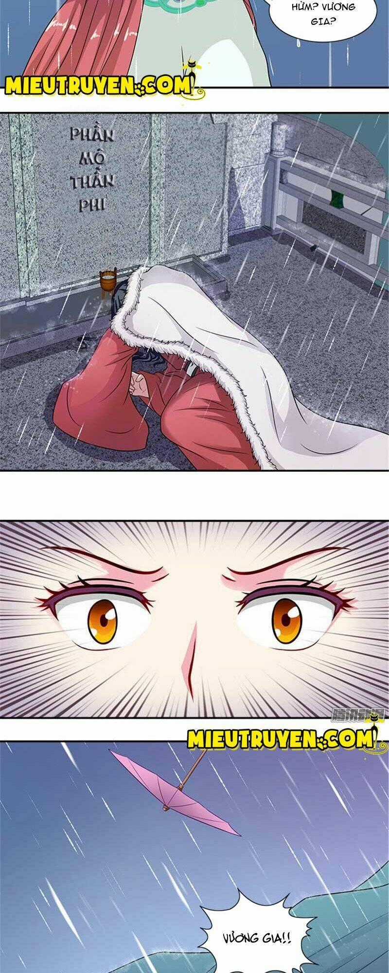 Tận Diệt Vương Gia Mãn Triều Chapter 25 trang 9