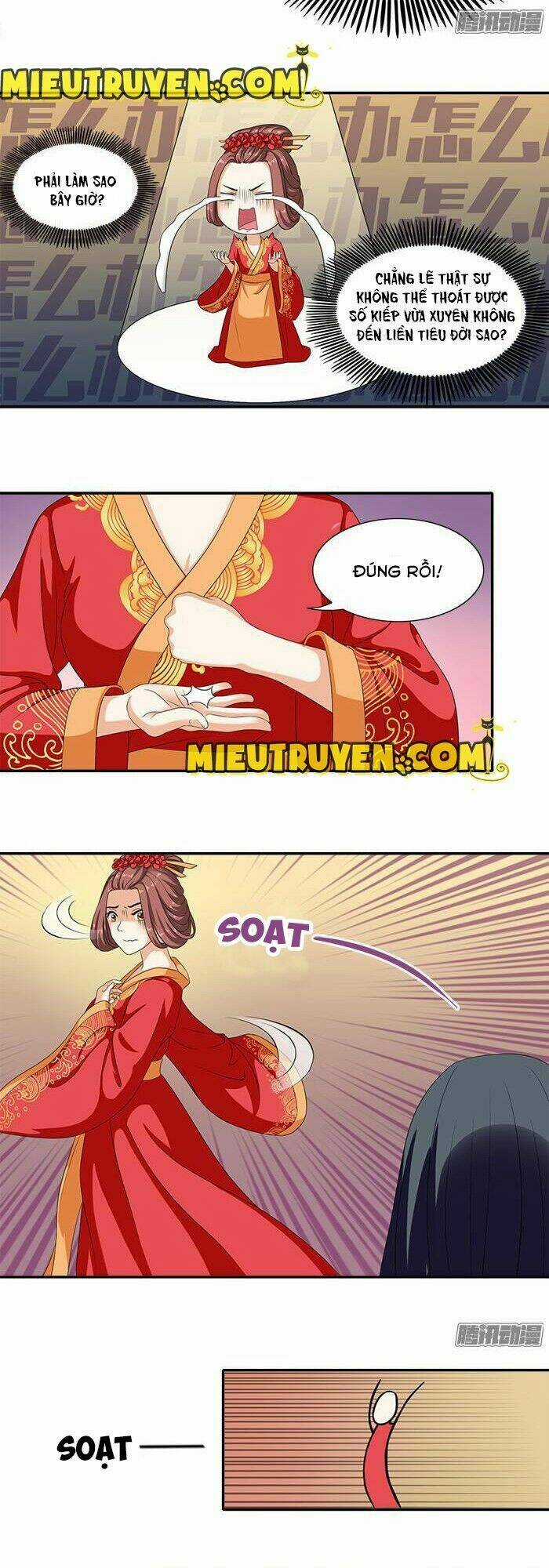 Tận Diệt Vương Gia Mãn Triều Chapter 4 trang 2