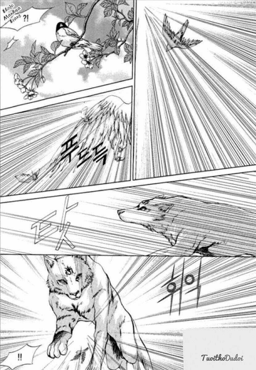 Tân Nương Của Thủy Thần Chapter 122 trang 14