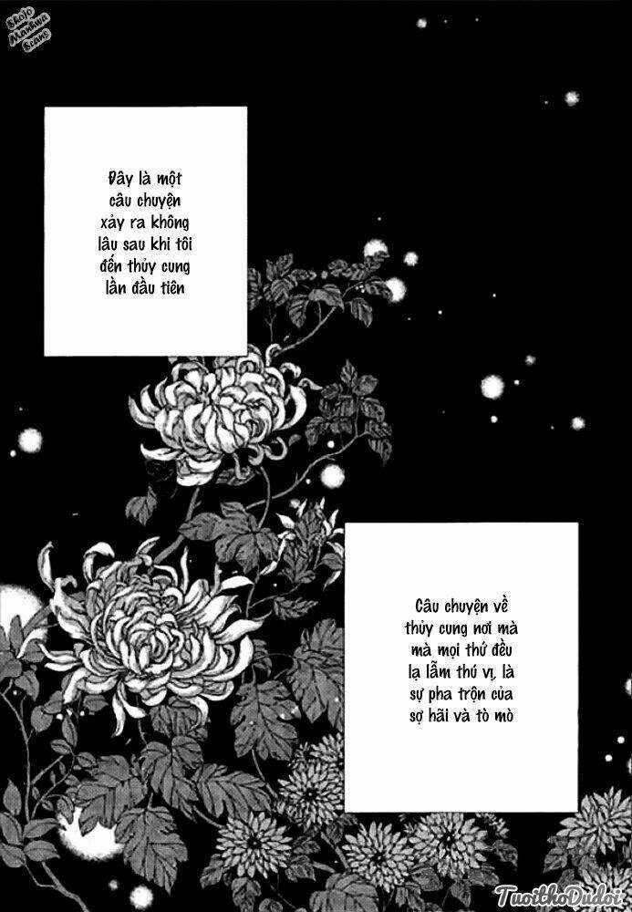 Tân Nương Của Thủy Thần Chapter 124 trang 5