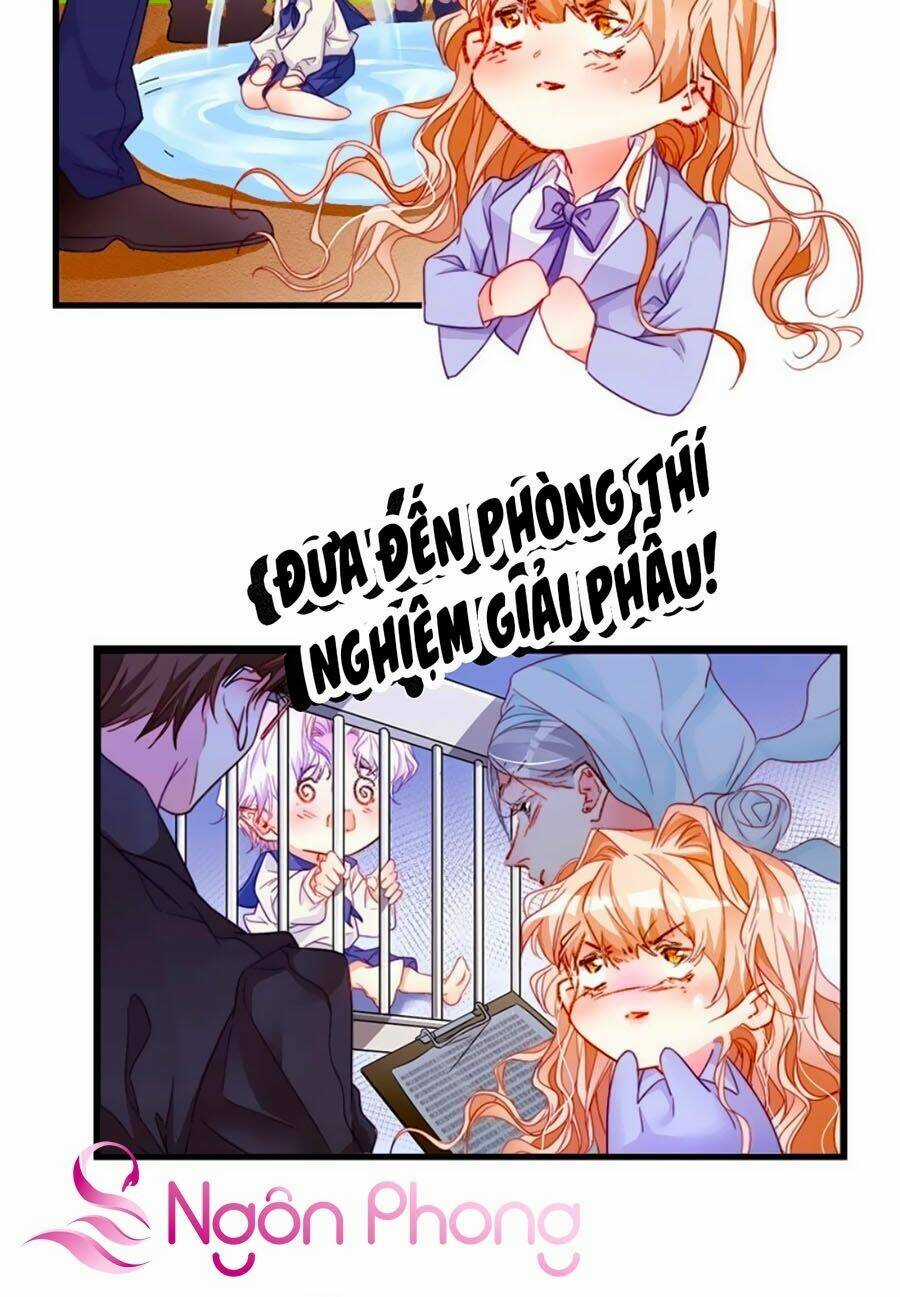 Tân Nương Long Tộc Chapter 22 trang 5