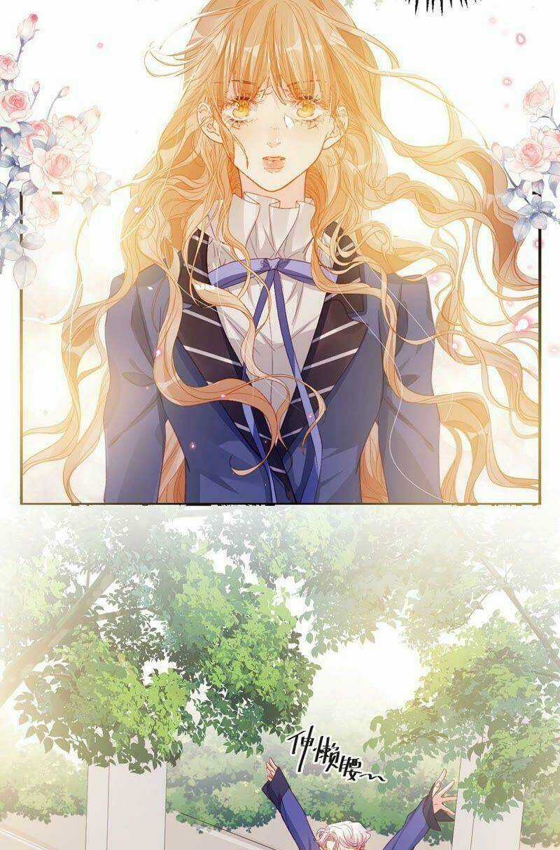 Tân Nương Long Tộc Chapter 35 trang 2