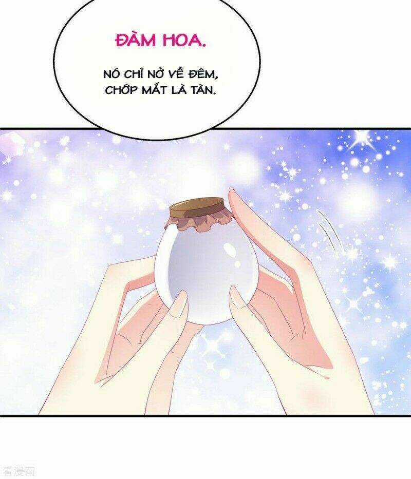 Tân Nương Nhân Ngư Của Long Vương Chapter 19 trang 21