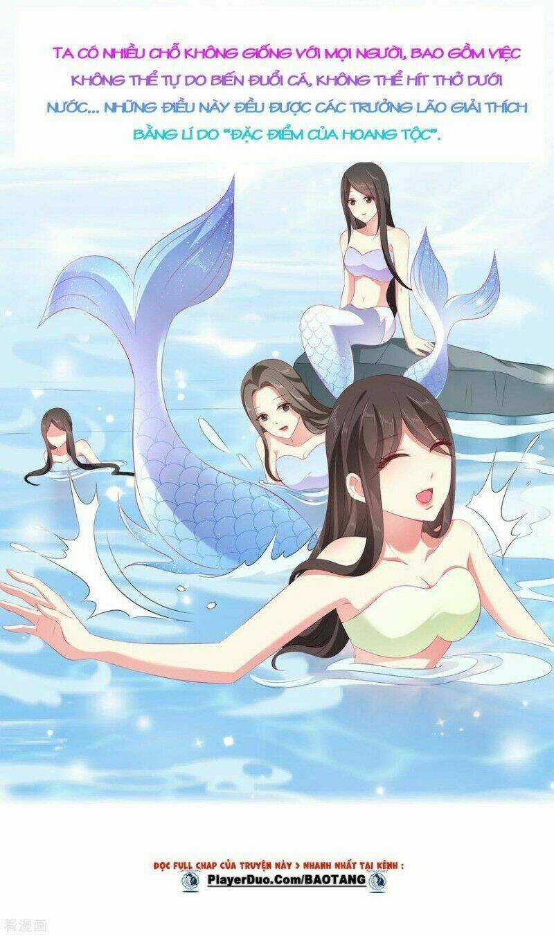 Tân Nương Nhân Ngư Của Long Vương Chapter 41 trang 5
