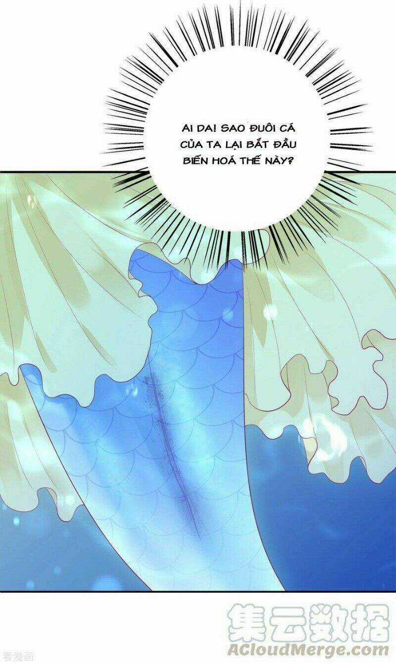 Tân Nương Nhân Ngư Của Long Vương Chapter 52 trang 40