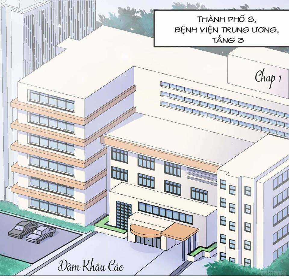 Tân Nương Xinh Đẹp Của Tổng Tài Chapter 1.1 trang 2