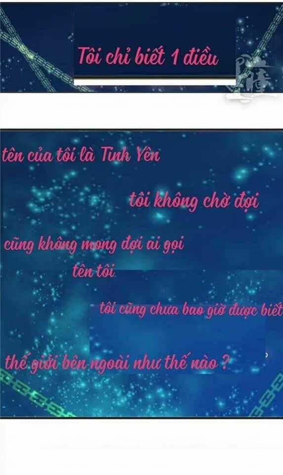 Tân Quang Thiên Chapter 11 trang 1