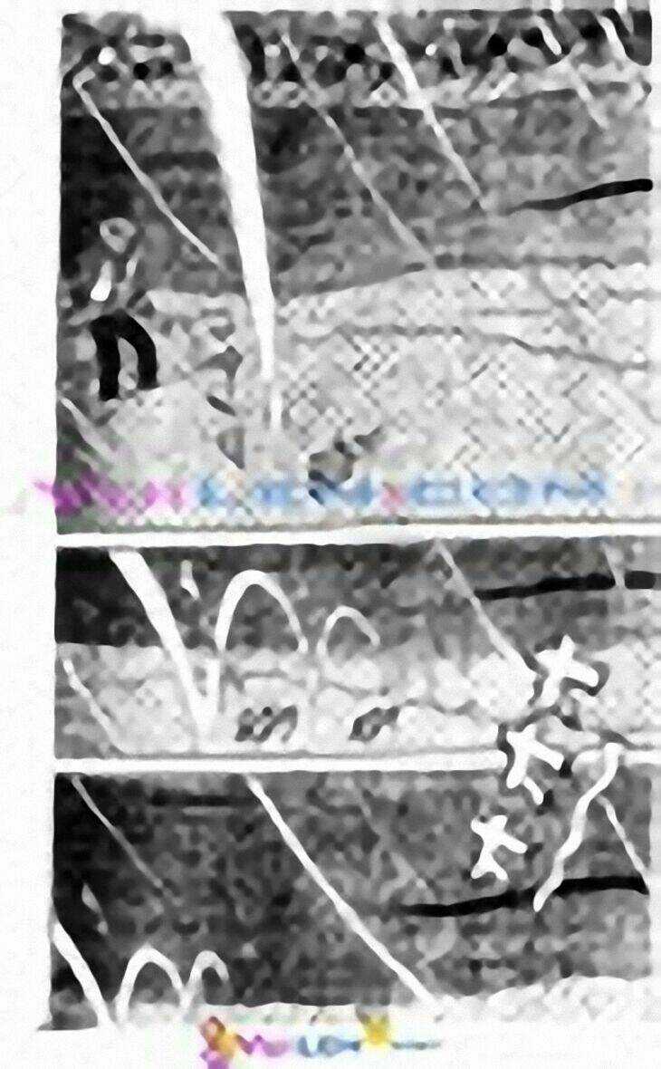 Tân Teppi Chapter 58 trang 122