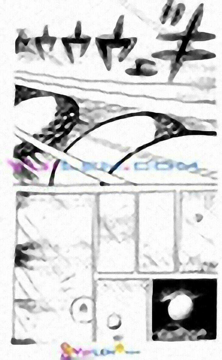 Tân Teppi Chapter 58 trang 166