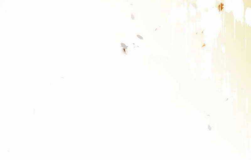 Tân Thủ - Từng Xếp Hạng Nhất Thế Giới Chapter 1 trang 197