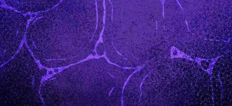 Tân Thủ - Từng Xếp Hạng Nhất Thế Giới Chapter 7 trang 551