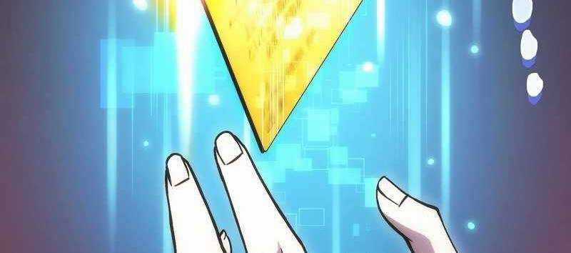 Tân Thủ - Từng Xếp Hạng Nhất Thế Giới Chapter 8 trang 406