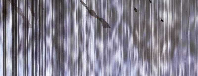 Tân Thủ - Từng Xếp Hạng Nhất Thế Giới Chapter 8 trang 489