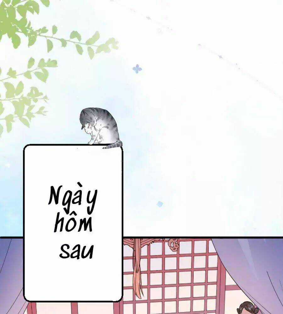 Tang Lạc Túy Tại Nam Phong Lý Chapter 11 trang 47