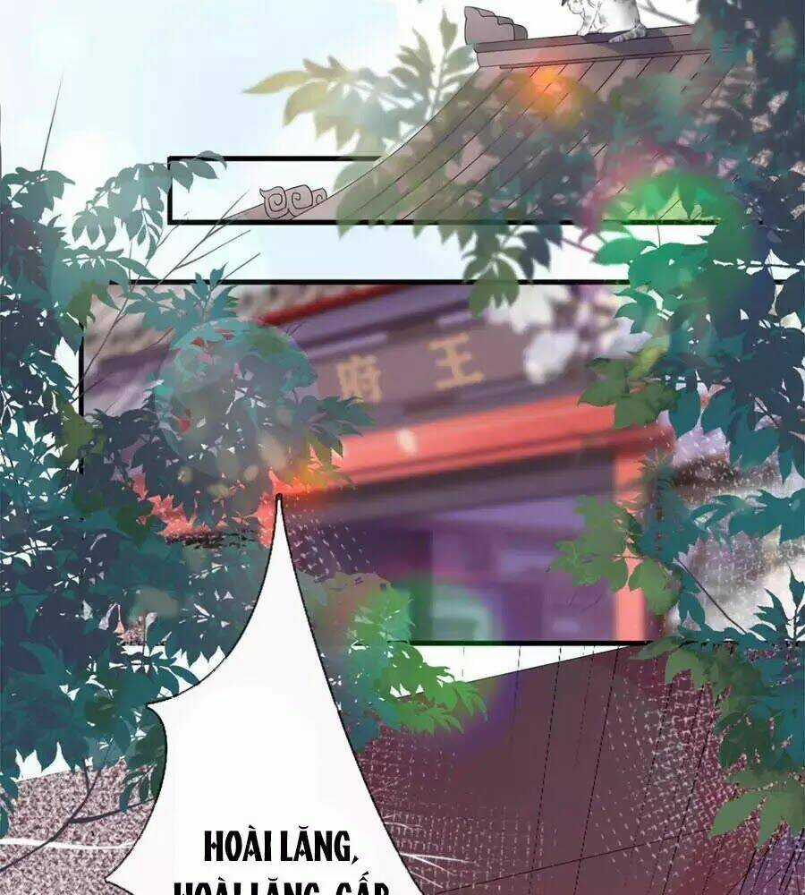 Tang Lạc Túy Tại Nam Phong Lý Chapter 20 trang 29