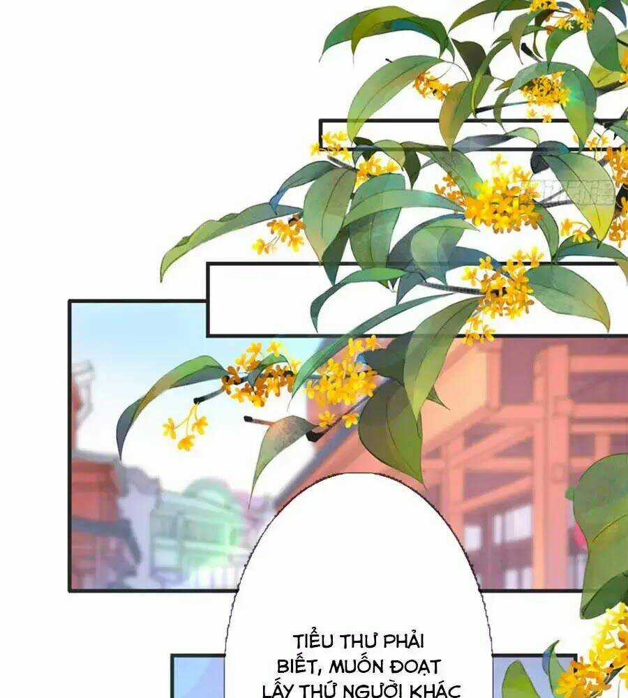 Tang Lạc Túy Tại Nam Phong Lý Chapter 21 trang 48