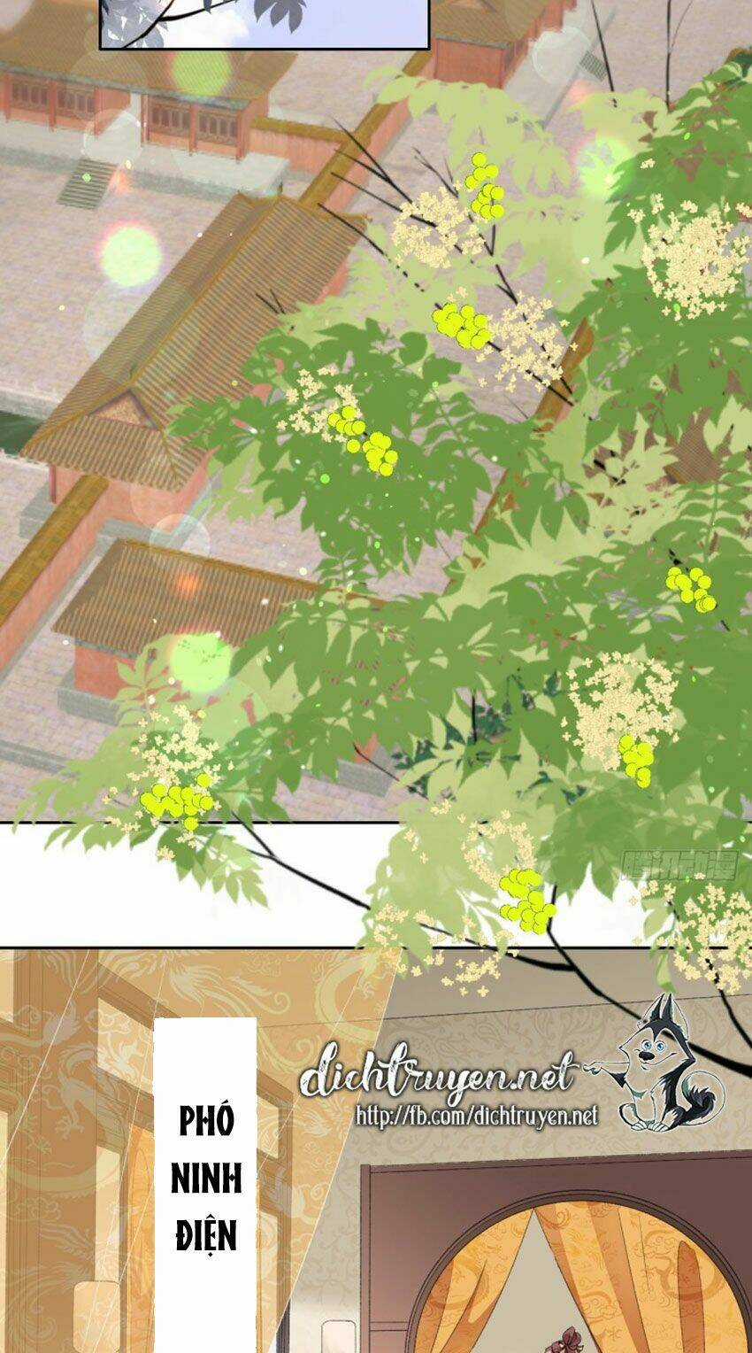 Tang Lạc Túy Tại Nam Phong Lý Chapter 72 trang 24