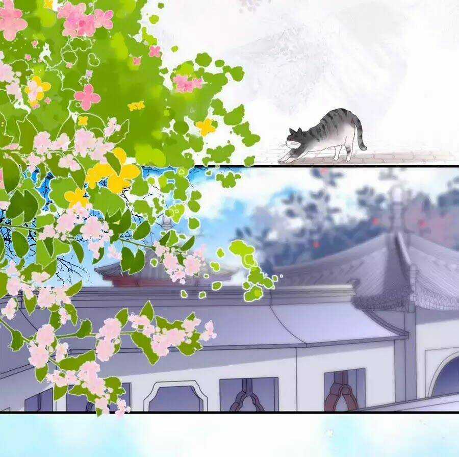 Tang Lạc Túy Tại Nam Phong Lý Chapter 8 trang 17