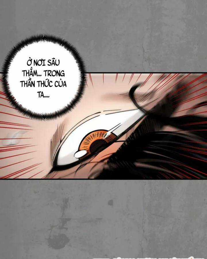 Tạng Phong Hành Chapter 184 trang 14