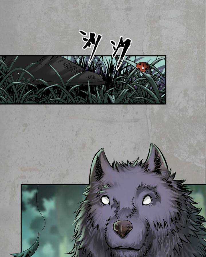 Tạng Phong Hành Chapter 195 trang 26